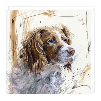 Card Springer Spaniel 2